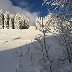 Svadlenka *