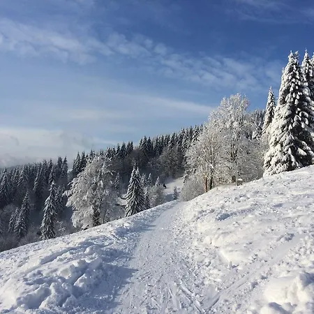 Apartmán švadlenka Rokytnice nad Jizerou