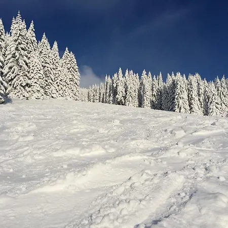 Svadlenka