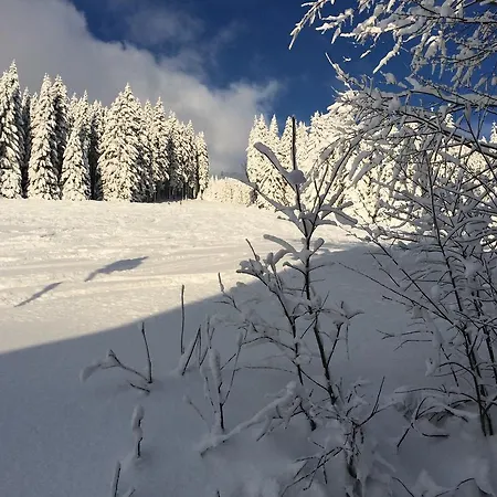 Svadlenka *