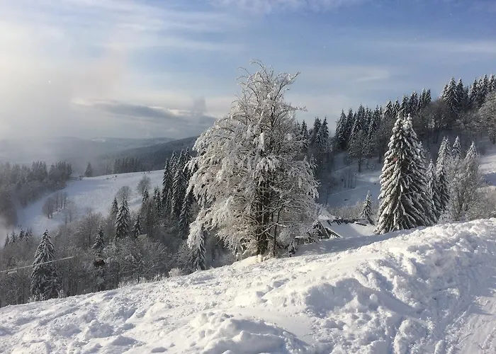 švadlenka Apartman Rokytnice nad Jizerou