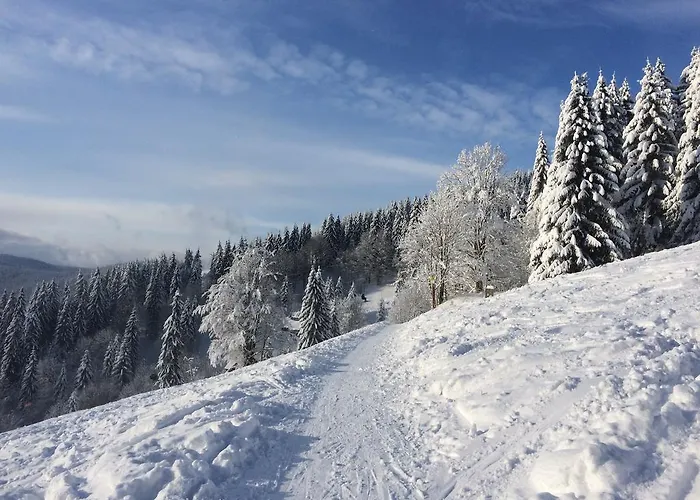 Apartman švadlenka Rokytnice nad Jizerou