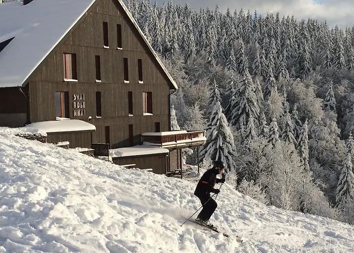 公寓 Svadlenka 捷克布杰约维采